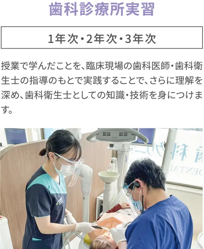 歯科衛生学科 | 仙台青葉学院 公式サイト