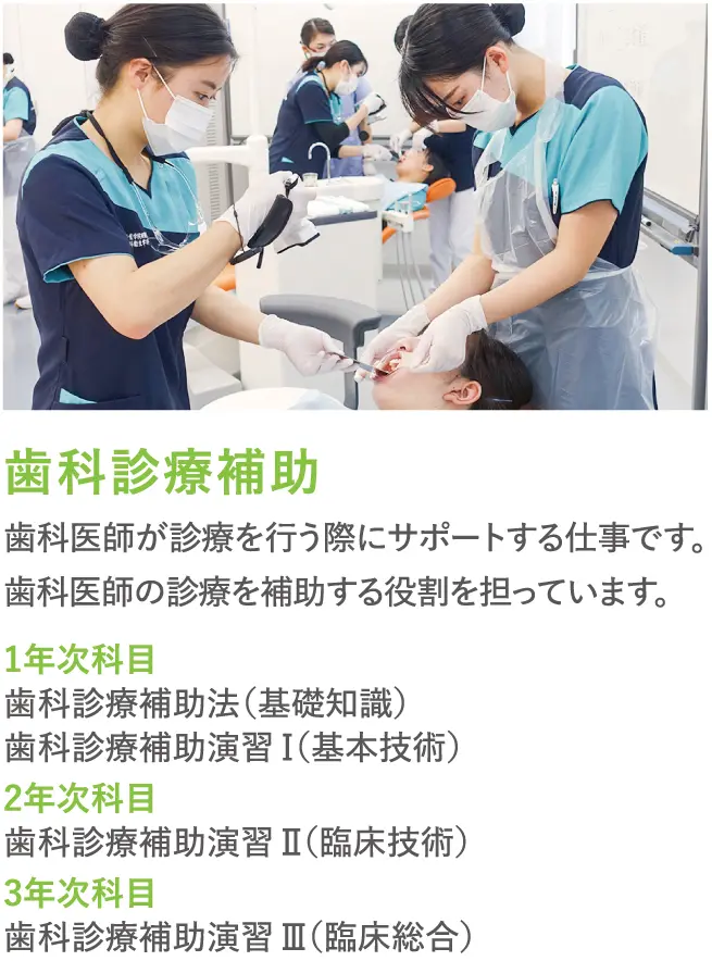 歯科衛生学科 | 仙台青葉学院 公式サイト