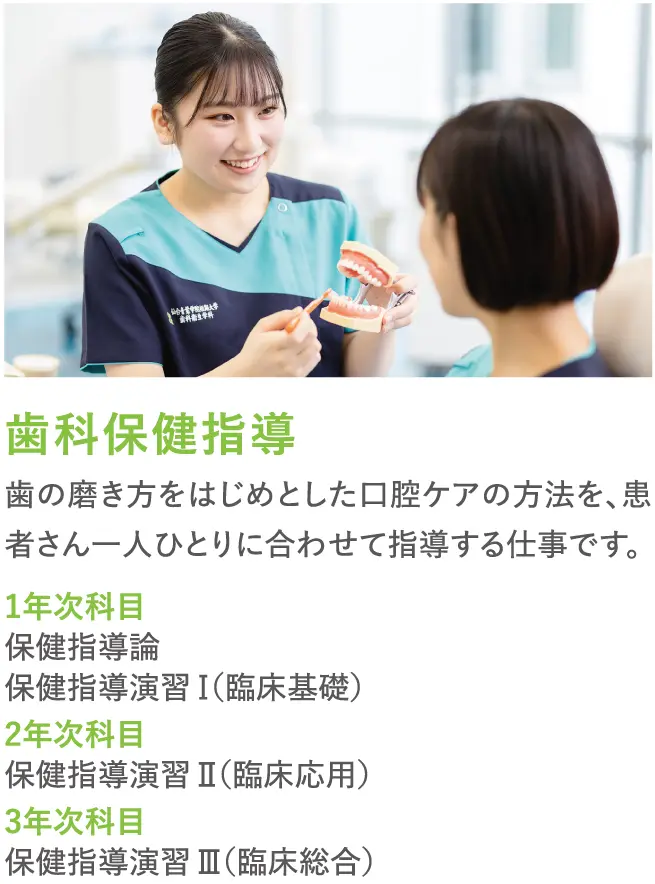歯科衛生学科 | 仙台青葉学院 公式サイト