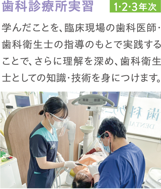 歯科衛生学科｜歯科衛生士を目指すなら｜仙台青葉学院短期大学